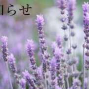 ヒメ日記 2025/06/02 12:00 投稿 ここあ 横浜風俗　寝取られたいオンナ達…生