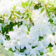 ヒメ日記 2025/06/03 16:34 投稿 ここあ 横浜風俗　寝取られたいオンナ達…生