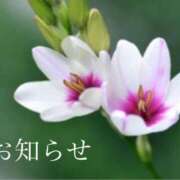 ヒメ日記 2025/06/04 12:01 投稿 ここあ 横浜風俗　寝取られたいオンナ達…生