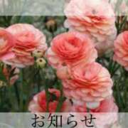 ヒメ日記 2025/06/05 12:00 投稿 ここあ 横浜風俗　寝取られたいオンナ達…生