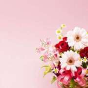 ヒメ日記 2025/06/05 15:00 投稿 ここあ 横浜風俗　寝取られたいオンナ達…生