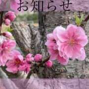 ヒメ日記 2025/06/06 12:00 投稿 ここあ 横浜風俗　寝取られたいオンナ達…生