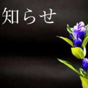 ヒメ日記 2025/06/07 12:00 投稿 ここあ 横浜風俗　寝取られたいオンナ達…生