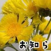 ヒメ日記 2025/06/08 12:00 投稿 ここあ 横浜風俗　寝取られたいオンナ達…生