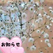 ヒメ日記 2025/06/09 12:01 投稿 ここあ 横浜風俗　寝取られたいオンナ達…生