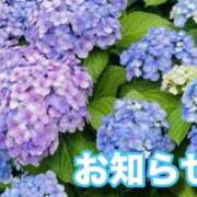 ヒメ日記 2025/06/17 12:02 投稿 ここあ 横浜風俗　寝取られたいオンナ達…生
