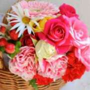 ヒメ日記 2025/06/24 20:01 投稿 ここあ 横浜風俗　寝取られたいオンナ達…生