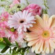 ヒメ日記 2025/06/29 12:01 投稿 ここあ 横浜風俗　寝取られたいオンナ達…生