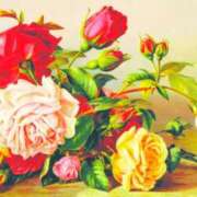 ヒメ日記 2025/07/05 15:00 投稿 ここあ 横浜風俗　寝取られたいオンナ達…生