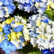 ヒメ日記 2025/07/06 12:01 投稿 ここあ 横浜風俗　寝取られたいオンナ達…生