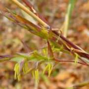ヒメ日記 2025/07/07 12:02 投稿 ここあ 横浜風俗　寝取られたいオンナ達…生