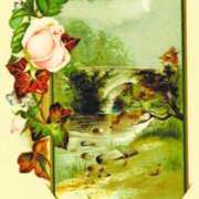 ヒメ日記 2025/07/07 17:00 投稿 ここあ 横浜風俗　寝取られたいオンナ達…生