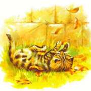 ヒメ日記 2025/07/08 17:00 投稿 ここあ 横浜風俗　寝取られたいオンナ達…生