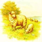 ヒメ日記 2025/07/09 15:00 投稿 ここあ 横浜風俗　寝取られたいオンナ達…生