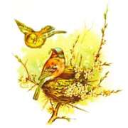 ヒメ日記 2025/07/11 17:00 投稿 ここあ 横浜風俗　寝取られたいオンナ達…生