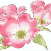 ヒメ日記 2025/07/13 15:00 投稿 ここあ 横浜風俗　寝取られたいオンナ達…生