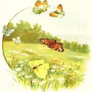 ヒメ日記 2025/07/14 17:00 投稿 ここあ 横浜風俗　寝取られたいオンナ達…生