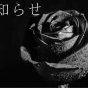 ヒメ日記 2025/07/25 14:49 投稿 ここあ 横浜風俗　寝取られたいオンナ達…生