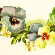 ヒメ日記 2025/07/25 15:00 投稿 ここあ 横浜風俗　寝取られたいオンナ達…生