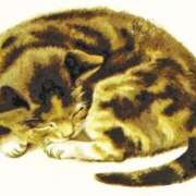 ヒメ日記 2025/07/28 16:02 投稿 ここあ 横浜風俗　寝取られたいオンナ達…生