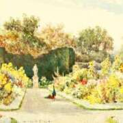 ヒメ日記 2025/07/29 17:02 投稿 ここあ 横浜風俗　寝取られたいオンナ達…生