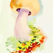 ヒメ日記 2025/07/30 10:00 投稿 ここあ 横浜風俗　寝取られたいオンナ達…生