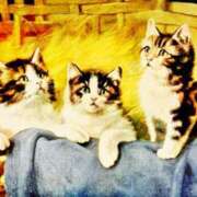 ヒメ日記 2025/08/01 16:02 投稿 ここあ 横浜風俗　寝取られたいオンナ達…生