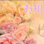 ヒメ日記 2025/09/30 18:00 投稿 ここあ 横浜風俗　寝取られたいオンナ達…生
