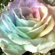 ヒメ日記 2025/10/02 12:00 投稿 ここあ 横浜風俗　寝取られたいオンナ達…生