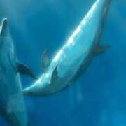 ヒメ日記 2025/10/04 12:00 投稿 ここあ 横浜風俗　寝取られたいオンナ達…生