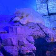 ヒメ日記 2025/10/05 12:00 投稿 ここあ 横浜風俗　寝取られたいオンナ達…生