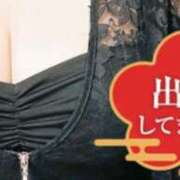 ヒメ日記 2026/01/20 15:02 投稿 ここあ 横浜風俗　寝取られたいオンナ達…生