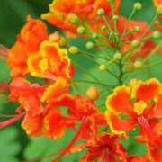 ヒメ日記 2026/01/21 18:01 投稿 ここあ 横浜風俗　寝取られたいオンナ達…生