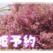 ヒメ日記 2026/01/26 18:03 投稿 ここあ 横浜風俗　寝取られたいオンナ達…生