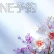 ヒメ日記 2026/03/19 12:02 投稿 ここあ 横浜風俗　寝取られたいオンナ達…生