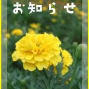 ヒメ日記 2026/03/28 06:00 投稿 ここあ 横浜風俗　寝取られたいオンナ達…生