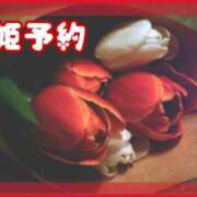 ヒメ日記 2026/04/13 20:01 投稿 ここあ 横浜風俗　寝取られたいオンナ達…生