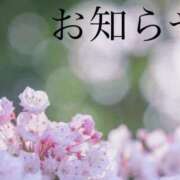 ヒメ日記 2026/04/16 06:00 投稿 ここあ 横浜風俗　寝取られたいオンナ達…生