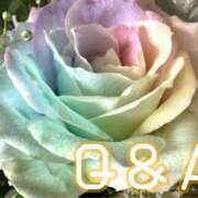 ここあ 〇〇〇って言われたい♡♡ 横浜風俗　寝取られたいオンナ達…生