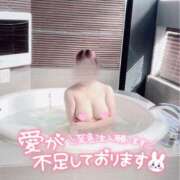 ヒメ日記 2025/02/18 17:06 投稿 ナツ【FG系列】 デリぽちゃin柏（FG系列）