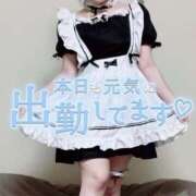 ヒメ日記 2025/03/26 11:11 投稿 ナツ【FG系列】 デリぽちゃin柏（FG系列）