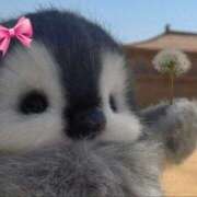 ヒメ日記 2025/03/29 15:09 投稿 れな デリバリーヘルス熊本インターちゃんこ