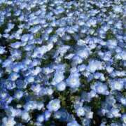 ヒメ日記 2025/06/14 12:19 投稿 れな デリバリーヘルス熊本インターちゃんこ