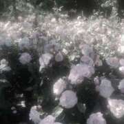 ヒメ日記 2025/08/23 12:39 投稿 れな デリバリーヘルス熊本インターちゃんこ