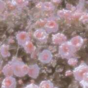 ヒメ日記 2025/08/23 16:59 投稿 れな デリバリーヘルス熊本インターちゃんこ