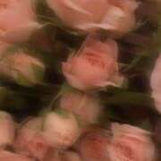 ヒメ日記 2025/08/23 17:02 投稿 れな デリバリーヘルス熊本インターちゃんこ