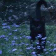 ヒメ日記 2025/08/26 20:49 投稿 れな デリバリーヘルス熊本インターちゃんこ