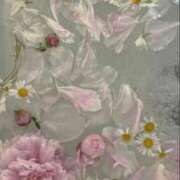 ヒメ日記 2025/08/27 12:49 投稿 れな デリバリーヘルス熊本インターちゃんこ