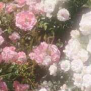 ヒメ日記 2025/09/12 01:19 投稿 れな デリバリーヘルス熊本インターちゃんこ