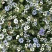 ヒメ日記 2025/09/12 14:39 投稿 れな デリバリーヘルス熊本インターちゃんこ